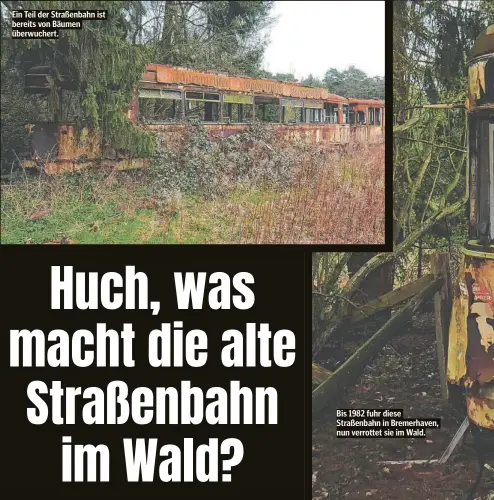  ?? ?? Bis 1982 fuhr diese Straßenbah­n in Bremerhave­n, nun verrottet sie im Wald.