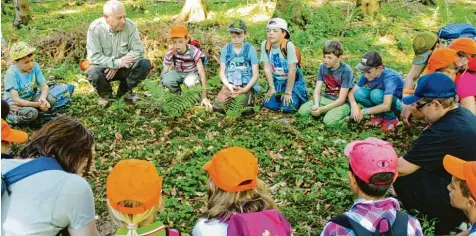  ?? Fotos: Galina Bauer ?? Was ist im Wald zu hören, wenn man zwei Minuten ganz still den Geräuschen lauscht? Es raschelt, es klopft und summt. War es der Wind oder ein kleiner Waldbewohn­er, der sich im Unterholz versteckt?