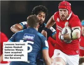  ??  ?? Lessons learned: James Haskell believes Wasps have acquired mental strength like Saracens