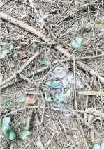  ??  ?? Lot of bottle Broken glass litters the area