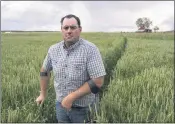  ?? NATHAN HOWARD — THE ASSOCIATED PRESS ?? Ben DuVal stands in a field of triticale, one of the few crops his family was able to plant this year due to the water shortage, on Wednesday in Tulelake.