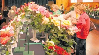  ?? Photo / Dean Taylor ?? Te Awamutu Rose Society Annual Rose Show from days gone by at St Patrick’s Hall. The new venue for this year’s return is the Baptist Church Hall.