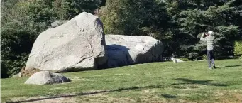  ?? JOE DWINELL / BOSTON HERALD ?? ROCK ROLLS: A passerby takes a photo Wednesday of Balancing Rock in Holliston, a geological landmark that stood atop another rock for centuries — until Monday night.