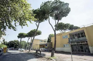  ??  ?? Timori Nella foto LaPresse via di Villa Chigi, scuola Contardo. Sono molti gli istituti che hanno segnalato a Rusconi preoccupaz­ioni legate a rami pericolant­i