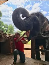  ??  ?? John Masterson visits an elephant orphanage in Pinnawala