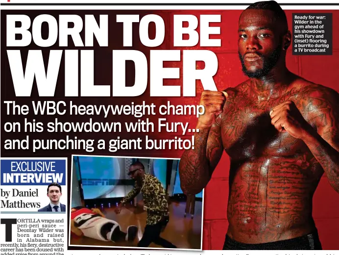  ??  ?? Ready for war: Wilder in the gym ahead of his showdown with Fury and (inset) flooring a burrito during a TV broadcast