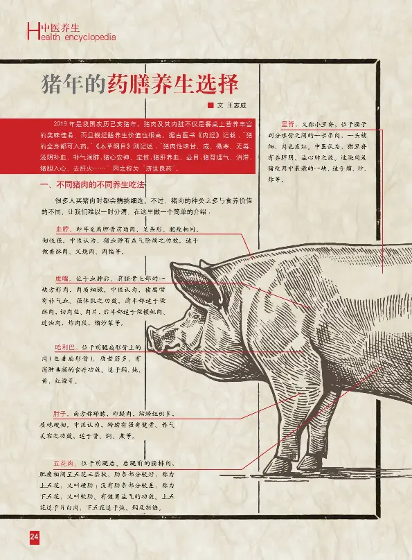 猪年的药膳养生选择 王志成 Pressreader