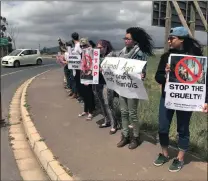 ??  ?? ‘FORCE’ FOR CHANGE: Vegan Activists Cape Town’s peaceful protest.