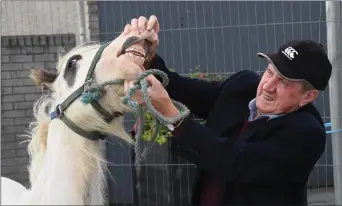  ??  ?? Jim Daughton from Duagh managing a close inspection of Sammy the pony on Market Street.