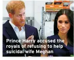  ?? ?? Prince Harry accused the royals of refusing to help suicidal wife Meghan