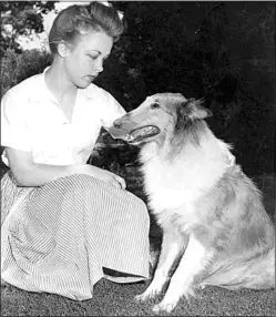  ?? FAMILY PHOTO ?? Jean Lantz with the first of many purebred Collies that she would raise.