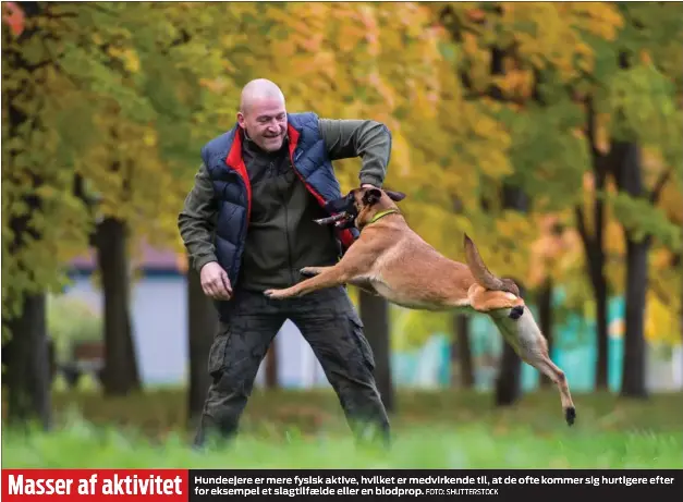 HUNDE GØR OS SUNDE - PressReader