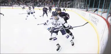  ?? Yale Athletics ?? Yale’s Dante Palecco battles for the puck against UConn Saturday