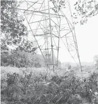  ??  ?? BAHAYA: Pembakaran terbuka yang dilakukan di menara transmisi Sarikei-Tanjung Manis 132kV.