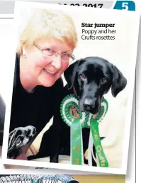  ??  ?? Star jumper Poppy and her Crufts rosettes