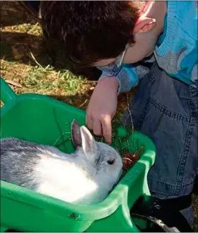  ??  ?? Les animaux peuvent motiver à sortir d’un fauteuil roulant par exemple.