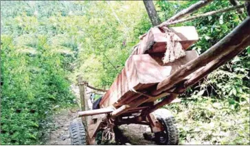  ?? SUPPLIED ?? In this photo provided by a group of volunteer forest activists, timber is hauled in the Phnom Oral Wildlife Sanctuary in Kampong Speu province’s Oral district in late April.