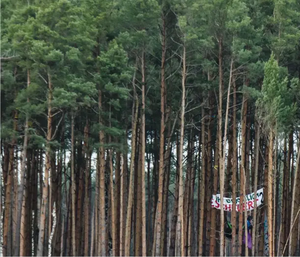  ?? (Epa / Clemens Bilan) ?? La protesta Uno striscione di protesta nel bosco del sito di Grunheide, 40 chilometri a est di Berlino, dove dovrebbe sorgere il primo impianto di produzione auto Tesla in Europa