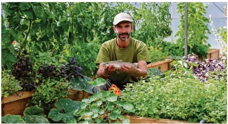  ??  ?? Guillaume Schlur et son alliée la truite posent au milieu des plantation­s. Au premier plan, les capucines permettent de joindre l’utile à l’agréable : en plus d’apporter de la couleur, elles protègent les cultures des attaques de pucerons.