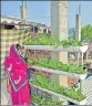  ?? SOURCED ?? A farmer with her vertical garden.