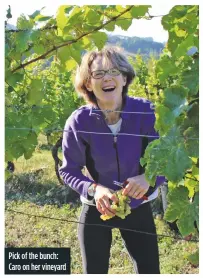  ??  ?? pick of the bunch: caro on her vineyard