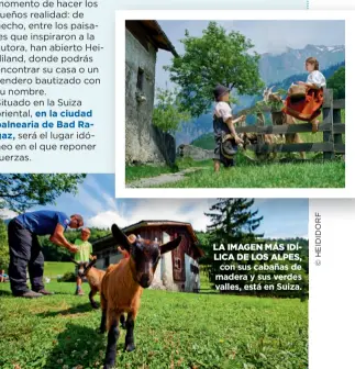  ??  ?? LA IMAGEN MÁS IDÍLICA DE LOS ALPES, con sus cabañas de madera y sus verdes valles, está en Suiza.