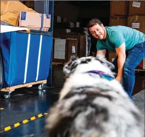  ?? ?? Cuddle Clones co-founder Adam Greene plays with an Australian Shepherd named Freya in the shipping area of his office.