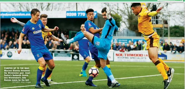  ?? PICTURES: Action Images ?? PUMPED UP TO THE MAX: Maxime Biamou threatens the Wimbledon goal. Inset: Sutton’s Bedsente Gomis and Wimbledon’s Jake Reeves tussle for the ball