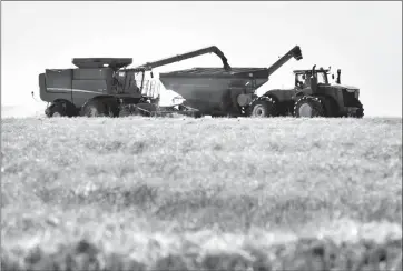  ?? Herald photo by Ian Martens ?? A combine unloads a hopper full of Canola into a grain cart in a field earlier this week west of the city. The harvest is said to be on pace around Lethbridge and southern Alberta. @IMartensHe­rald