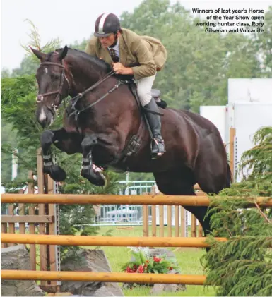  ??  ?? Winners of last year’s Horseof the Year Show open working hunter class, RoryGilsen­an and Vulcanite