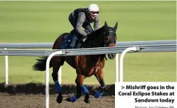  ?? Picture: Joe Giddens/PA ?? > Mishriff goes in the Coral Eclipse Stakes at Sandown today
