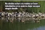  ??  ?? No olvides echar a tu maleta un buen teleobjeti­vo si no quieres dejar escapar ningún detalle