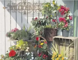  ??  ?? Wunderschö­ne Blumengrüß­e gibt es bei HolzLand Vogt.