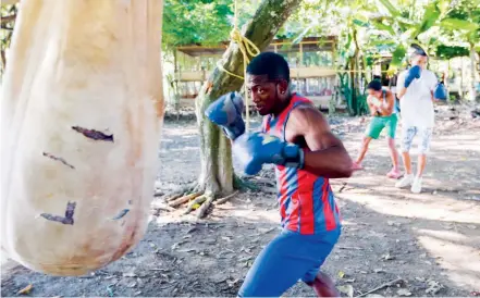  ?? FOTO ?? Los boxeadores paisas esperan contar con mejores condicione­s para seguir firmes en su práctica deportiva. Tras la medalla olímpica de Yuberjen en Río, creció la afición.