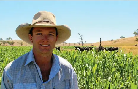  ?? PHOTO: CONTRIBUTE­D ?? RESEARCH AND DEVELOPMEN­T: Stuart Tait on his family’s beef and crop farm at Mandurama in central NSW.