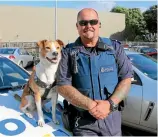  ??  ?? Police dog Tasman ‘‘Tas’’ is the only crossbreed animal in service with Senior Constable Matthew Fage. PHOTO: NZ POLICE