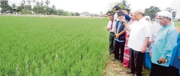 NAFAS perkenal program pertanian pintar di Kedah - PressReader