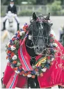  ??  ?? NY KRANS?: Odd Herakles fikk en flott krans etter seieren under Midtsommer­travet på Leangen.