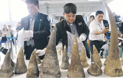  ?? Picture: EPA ?? TRAGIC HAUL. Thai customs officers display seized rhino horns at Suvarnabhu­mi Airport in Bangkok, Thailand, in March. The authoritie­s seized 21 rhino horns weighing 49.4kg from an Ethiopian Airlines flight.