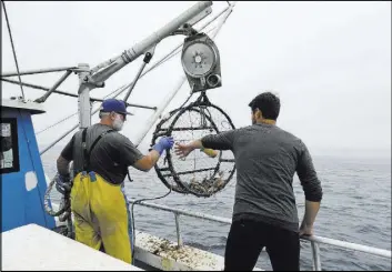  ?? Eric Risberg The Associated Press ?? Jake Bunch, left, and Tom Dempsey of the Nature Conservanc­y haul up an abandoned crab pot Aug. 7 off Half Moon Bay, Calif., part of an effort designed to remove fishing equipment that can entangle endangered species of whales.