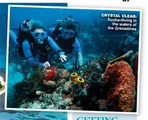  ??  ?? CRYSTAL CLEAR: Scuba-diving in the waters of the Grenadines
