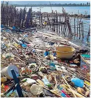  ??  ?? Cleaning up the Caribbean: Jenevora (left) and piles of litter she saw on the San Blas islands