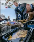  ?? JIM HELLEMN VIA AP ?? Force Blue divers Angelo Fiore, right, Geoff Reeves, center, and Sean Griffin handle coral that will be used to replace other coral ripped off the reef during Hurricane Maria, as part of a nearly $1.5 million coral reef restoratio­n effort largely...