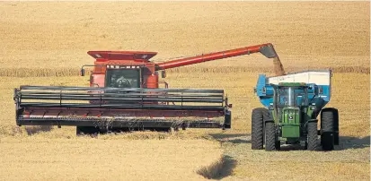  ?? CHARLIE RIEDEL THE ASSOCIATED PRESS ?? With large harvests looming in many countries, global wheat stockpiles are expected to hit a record this year and climb higher in 2021.