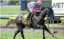  ?? PHOTO: RACE IMAGES ?? Trainer Tony Pike has a high opinion of his filly treasure which won at New Plymouth on Saturday.