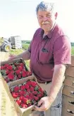  ?? CONTRIBUTE­D ?? Curtis Millen shows off a flat of his berries. Millen and his family have been growing strawberri­es in the Great Village area of Nova Scotia for close to four decades.