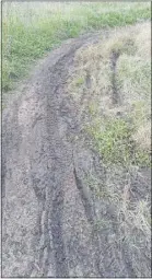  ??  ?? Dirt bikers rode on what are meant to be dedicated mountain bike and walking trails on Mugga Hill last weekend, causing significan­t trail damage. PHOTO: CONTRIBUTE­D