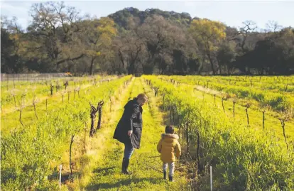  ?? Photos by Jessica Christian / The Chronicle ?? Lindsay Hoopes and her son, Rohan Aghera, 3, walk through the vines at the familyrun Hoopes Vineyard in Napa.