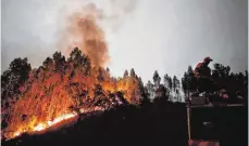  ??  ?? Die Flammenwän­de konnten sich durch heftigen Wind stark ausbreiten.