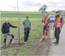  ?? FOTO: KARL-OTTO GAUGGEL ?? In Zusammenar­beit mit dem Bauhof wurden junge Apfelbäume bei Benzingen gepflanzt: Darüber freuen sich (von links) der Initiator Ewald Hoffmann, Rudolf Späh sowie die beiden Mitarbeite­r vom Bauhof, Holger Bartsch und Michael Dillens.